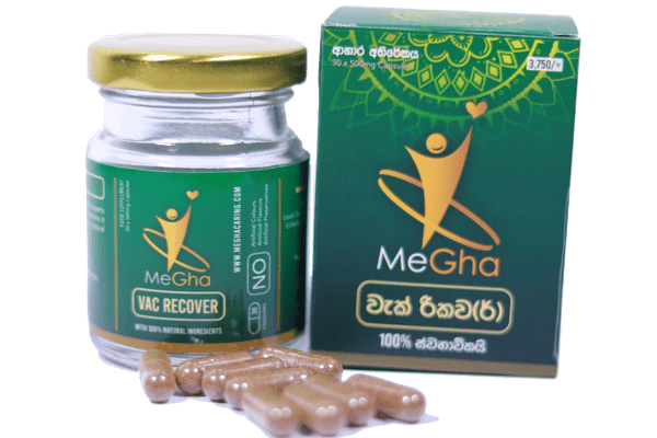 Megha Vac Recover MeGha1 Palace Pvt Ltd