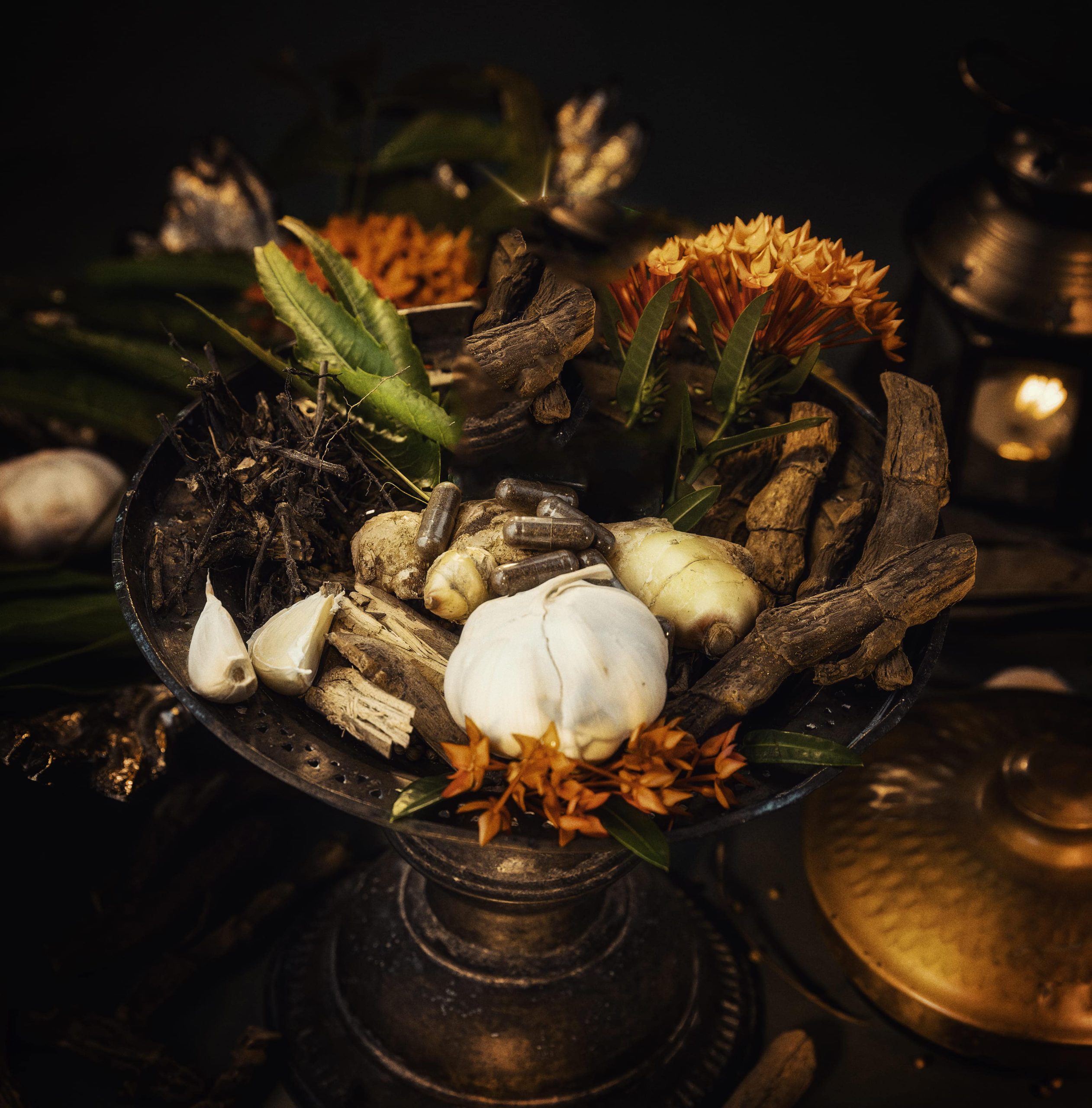 medical ayurveda background 2 alt