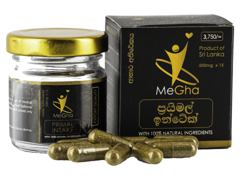 primal intake banner 1alt